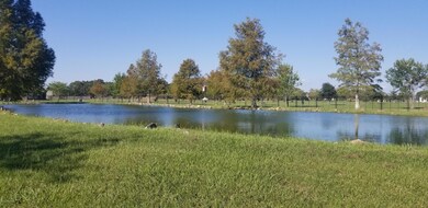 pond view