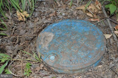 0 Deep Spring Rd unit WVGT102864, Dorcas, WV 26847 - photo 3