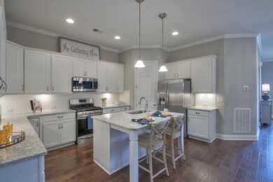 3070 Flowing Creek Dr unit 307, Franklin, TN 37064 - photo 5