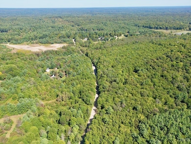 0 Austin Rd unit S1618955, Altmar, NY 13302 - photo 4