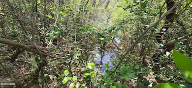 Lot 18 Fusion Cir, Chipley, FL 32428 - photo 2