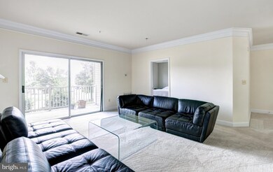 11306 Westbrook Mill Ln unit 202, Fairfax, VA 22030 - photo 3