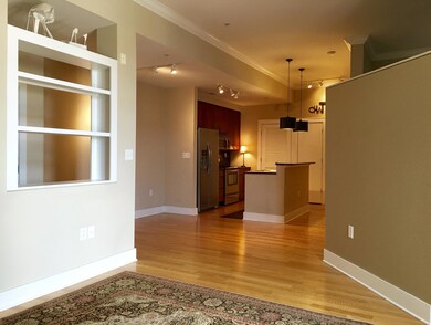 129 Walnut Street, Unit 403 - 6