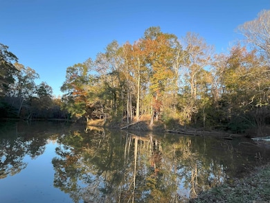 TBD (W. 180 Ac) Tunica Trace, St. Francisville, LA 70775 - photo 2