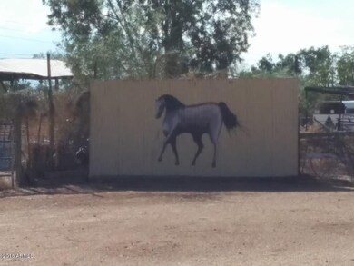 horse painting back wall