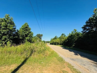 TBD Sims Thornhill Rd, Tylertown, MS 39667 - photo 3