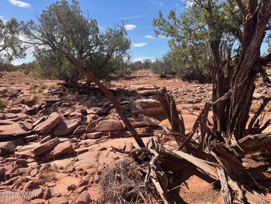 000 Old Woodruff Rd, Snowflake, AZ 85937 - photo 6
