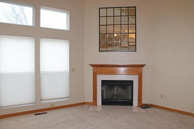 Wood burning fireplace