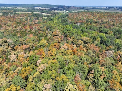 Off Hwy Dd unit Lot WP001, Farmington, MO 63640 - photo 2