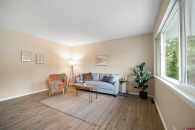 504 Clovis Dr, Durango, CO 81301 - photo 7