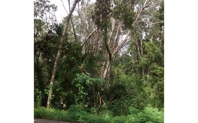 0 Ash Dr unit 101670, Lake City, FL 32055 - photo 3