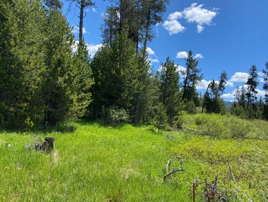 Nicely Wooded