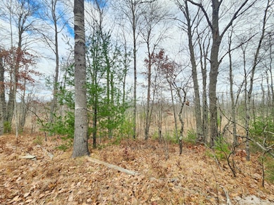 10544 N Lazy Ln, Bitely, MI 49309 - photo 6