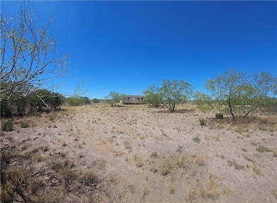 0 Tract 59 unit 462444, Benavides, TX 78341 - photo 5