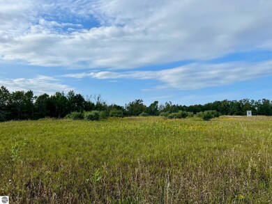 00 Skinner Rd, Ellsworth, MI 49729 - photo 7