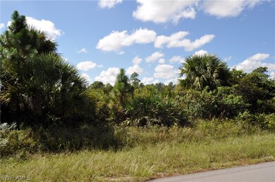 3221 58th St W, Lehigh Acres, FL 33971 - photo 2