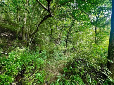 Tract #5 Holt Rd, Louisa, KY 41230 - photo 5