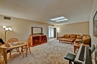 LIVING ROOM WITH SKY LIGHTS