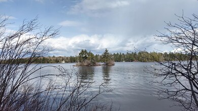 IMG_20200415_153618008_HDR