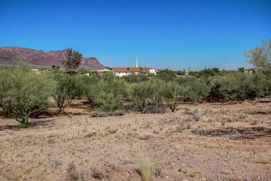 0008-Muleshoe (8)