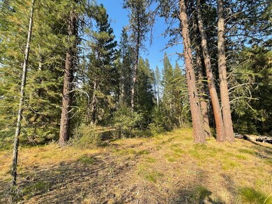 10405 Hwy 55, Cascade, ID 83611 - photo 7