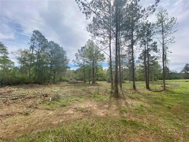 44035 Max Brumfield Rd, Franklinton, LA 70438 - photo 5