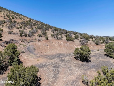 1330 Painted Pony Ln, Williams, AZ 86046 - photo 6
