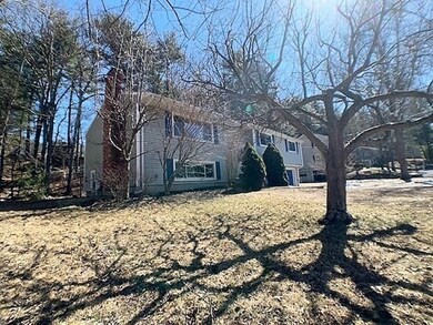 11 Belknap Rd, Medfield, MA 02052 - photo 3