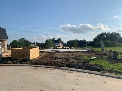 1588 Harvest Vine Ct, Friendswood, TX 77546 - photo 4