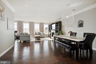 43019 Clarks Mill Terrace unit 806, Ashburn, VA 20148 - photo 7