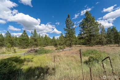 35410 Prairie Ln N unit Lot 4, Creston, WA 99117 - photo 6