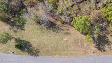 Top Down View A1