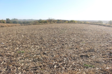 613 Clark St, Oakland, IA 51560 - photo 4