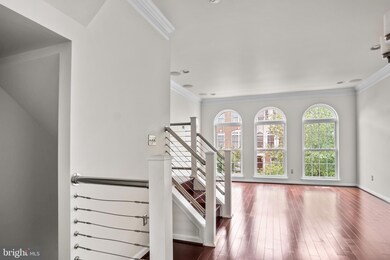 25123 Neptune Terrace, Chantilly, VA 20152 - photo 7