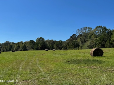 0 Parsons Rd unit 4131662, Terry, MS 39170 - photo 5