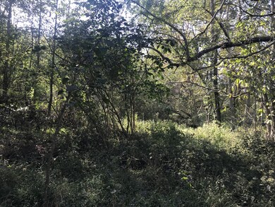 0 Ross Rd, Pulaski, TN 38478 - photo 3