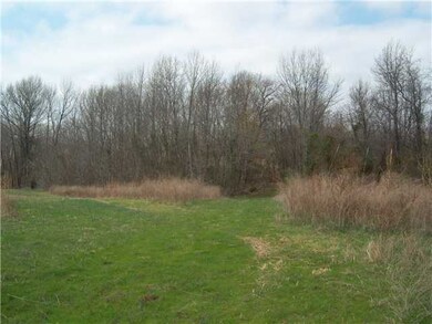 Looking west into second treeline