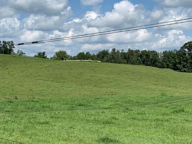 2794 Highway 1058, Jamestown, KY 42629 - photo 2