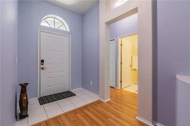 339 Tavernier Dr, Oldsmar, FL 34677 - photo 2