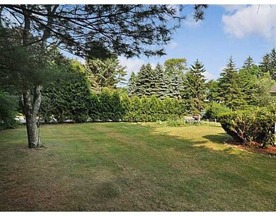 Yard/Garden.