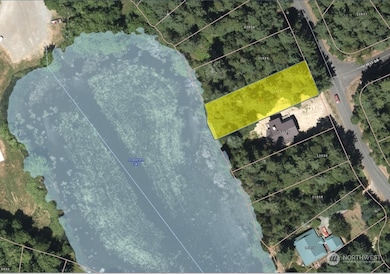 11024 Matthews Way, Anderson Island, WA 98303 - photo 2