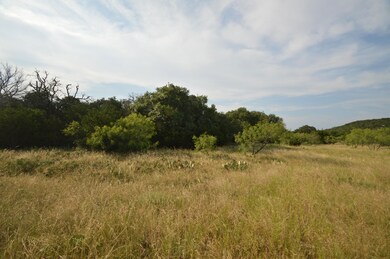 17426 N Us Highway 183, Lometa, TX 76853 - photo 5
