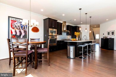 41933 Cushendall Terrace, Aldie, VA 20105 - photo 5