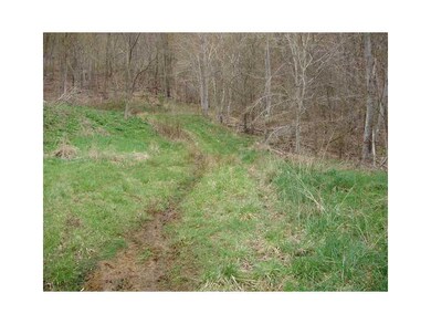 Land. roughed-in access road with level area on le