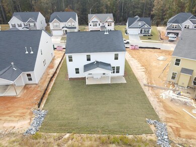 C22 BACK YARD