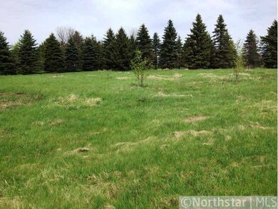 40602 Pine View Dr, Sauk Centre, MN 56378 - photo 2