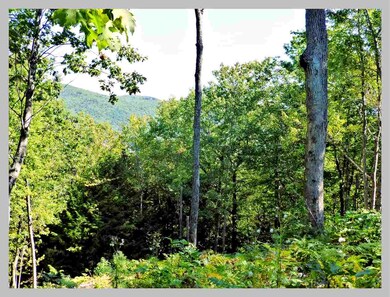Lot #11 Point of View Dr, Plymouth, NH 03264 - photo 4