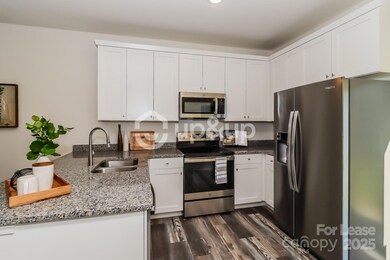 929 Ranchero St, Statesville, NC 28677 - photo 6