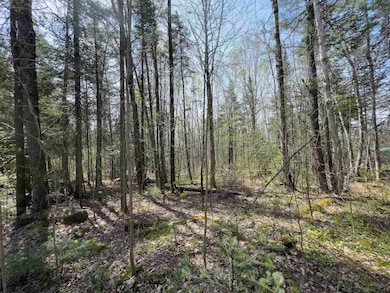 Lot 4 Oregon Rd, Concord, VT 05824 - photo 5