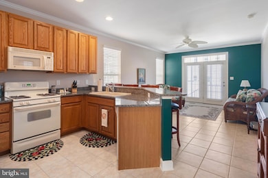 16262 John Rowland Trail, Milton, DE 19968 - photo 3